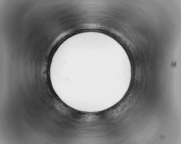 X0000103481314200810031534