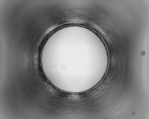 X0000103481315200810031534