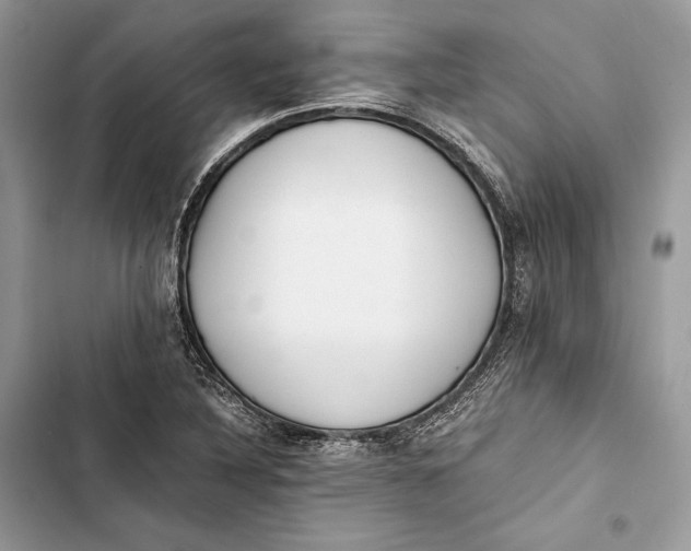 X0000103481316200810031534