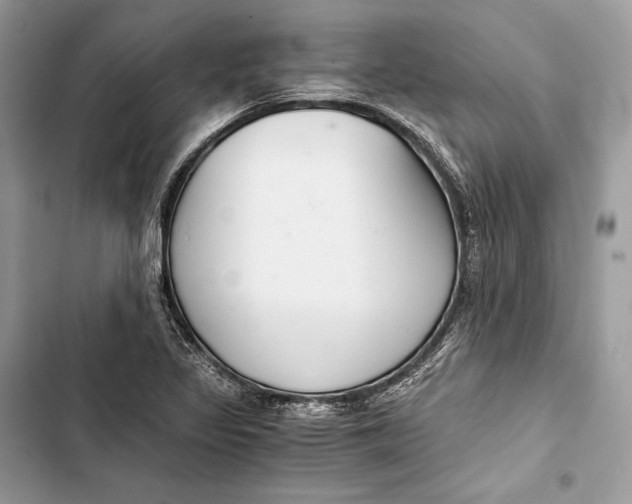 X0000103481317200810031534