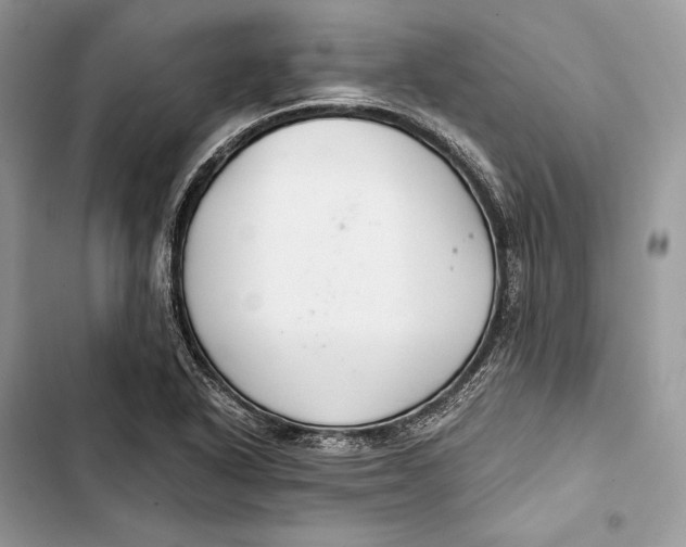 X0000103481318200810031534