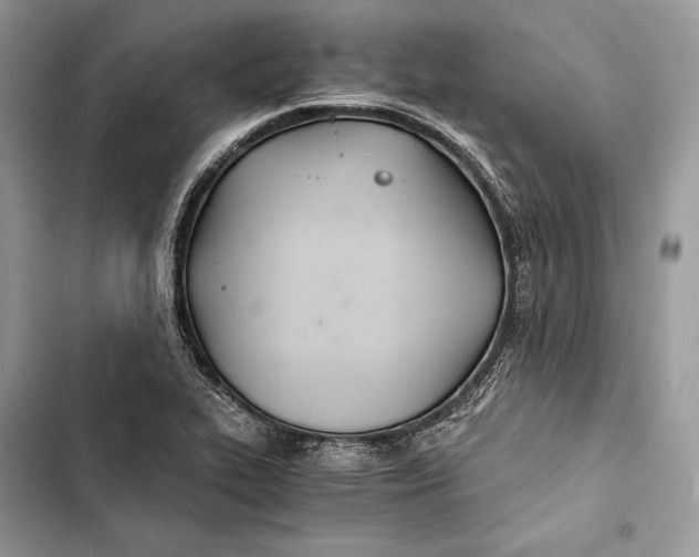 X0000103481319200810031534