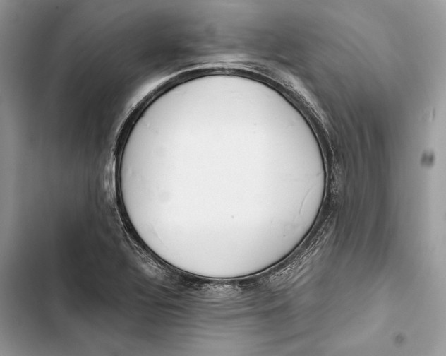 X0000103481320200810031534