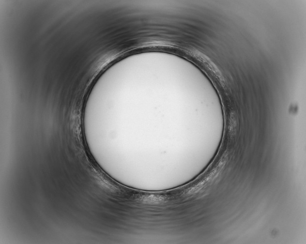 X0000103481321200810031534