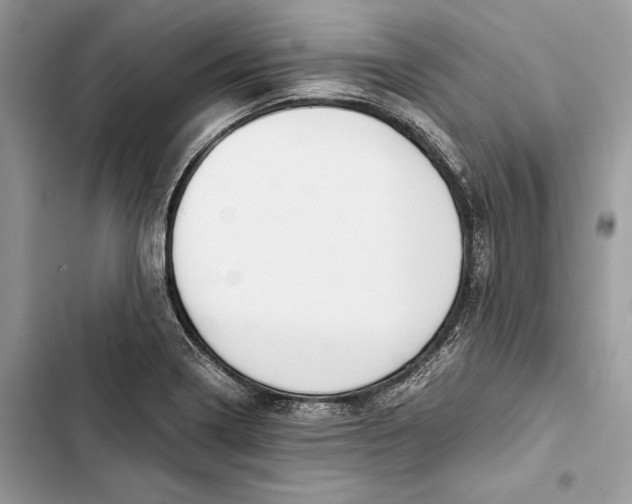 X0000103481322200810031534