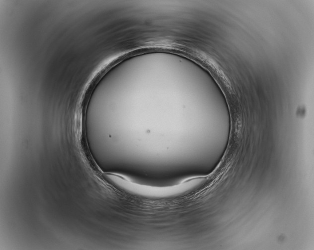 X0000103481323200810031534