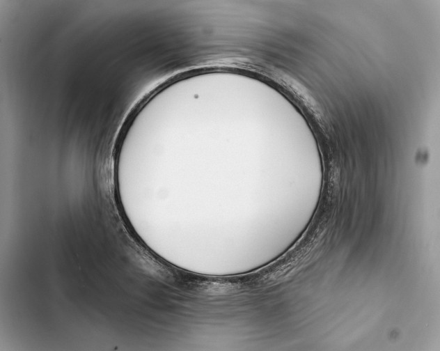 X0000103481324200810031534