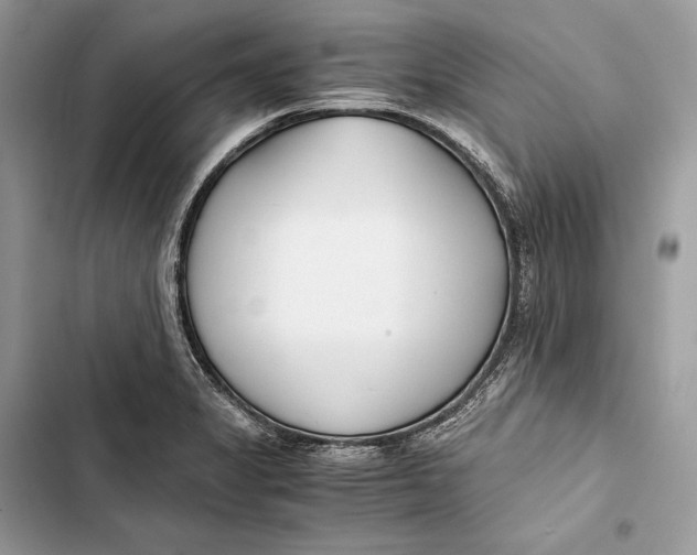 X0000103481325200810031534