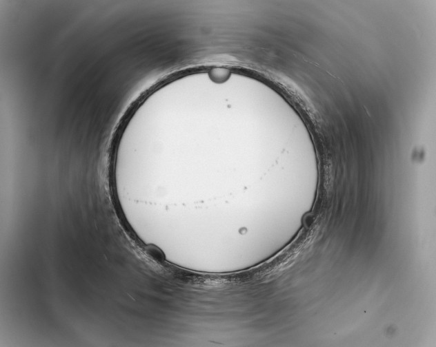 X0000103481326200810031534