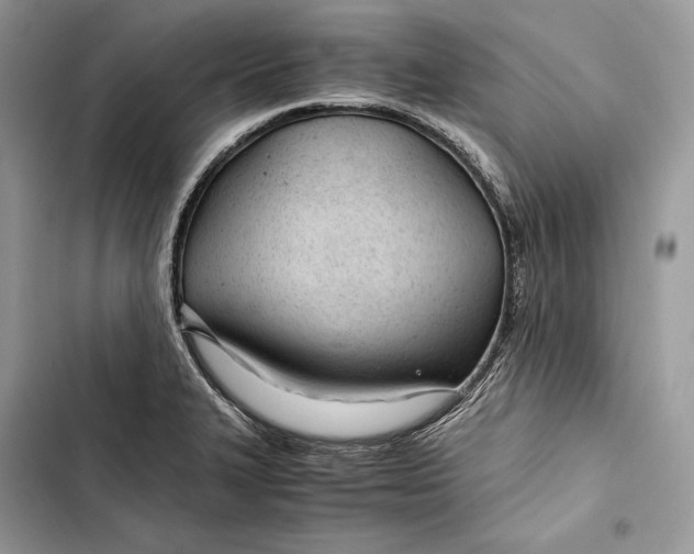 X0000103481327200810031534