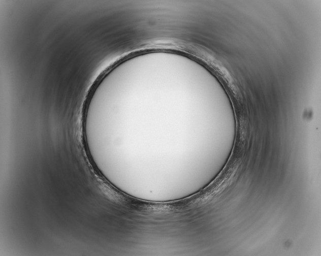 X0000103481328200810031534