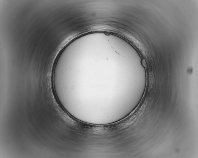 X0000103481330200810031534