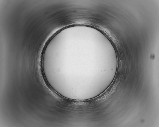 X0000103481331200810031534