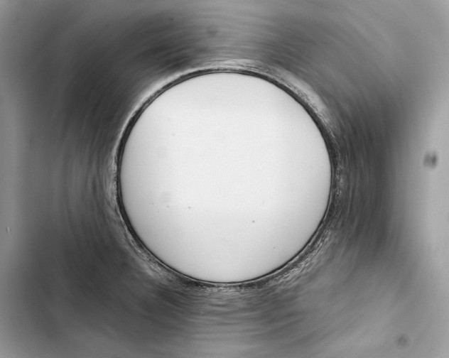 X0000103481332200810031534