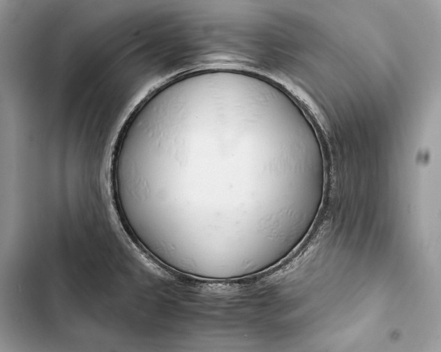 X0000103481333200810031534