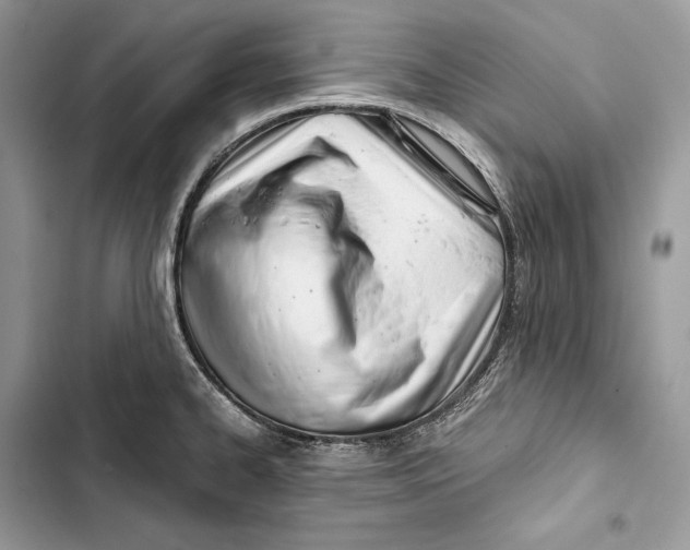 X0000103481334200810031534