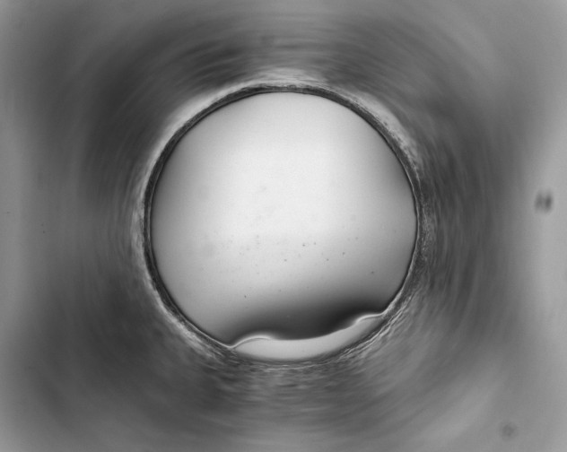 X0000103481335200810031534