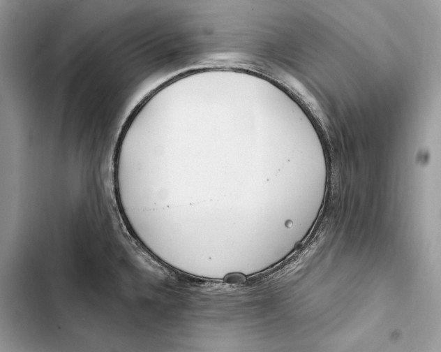 X0000103481336200810031534