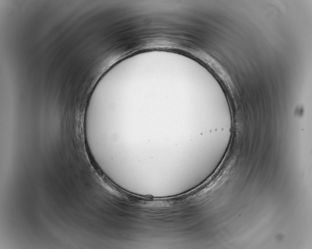 X0000103481337200810031534