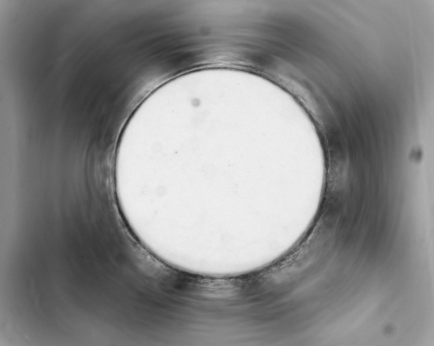 X0000103481338200810031534