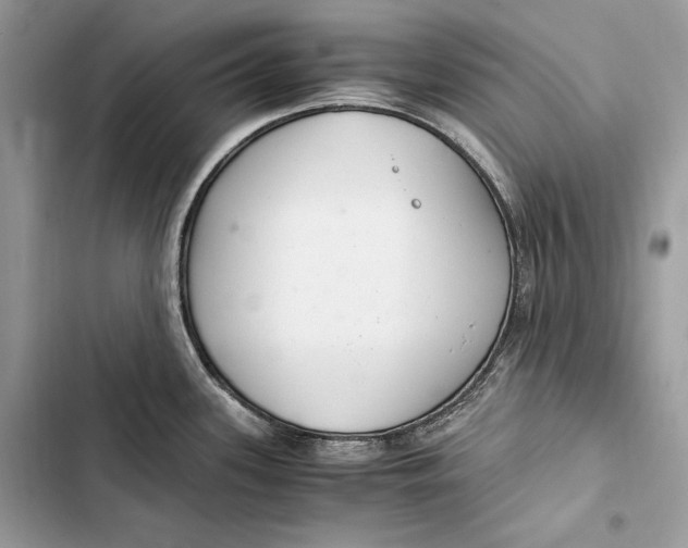 X0000103481339200810031534