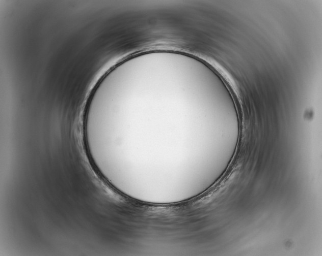 X0000103481341200810031534