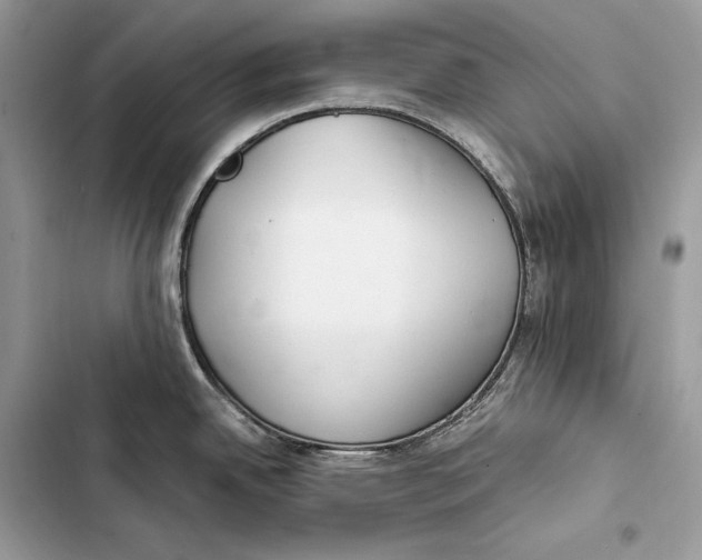 X0000103481342200810031534