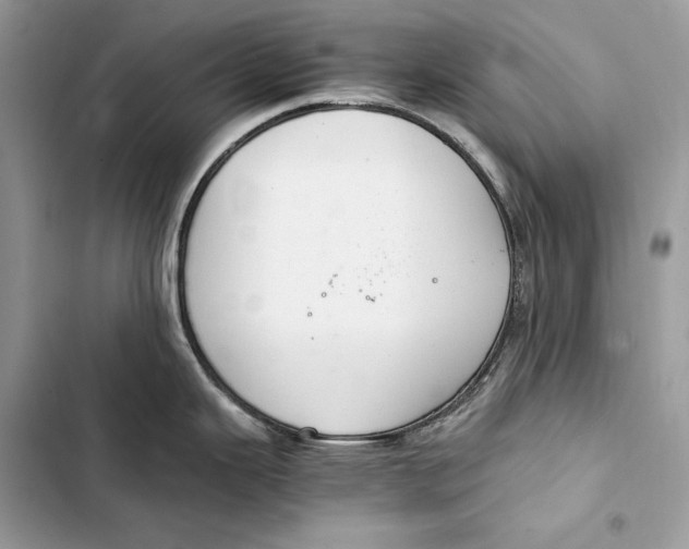 X0000103481343200810031534