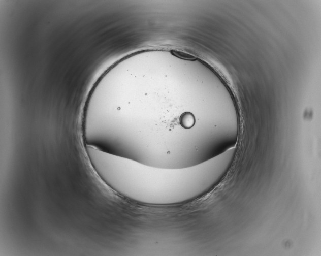 X0000103481344200810031534