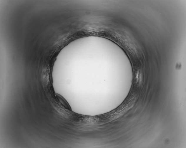 X0000103481348200810031533