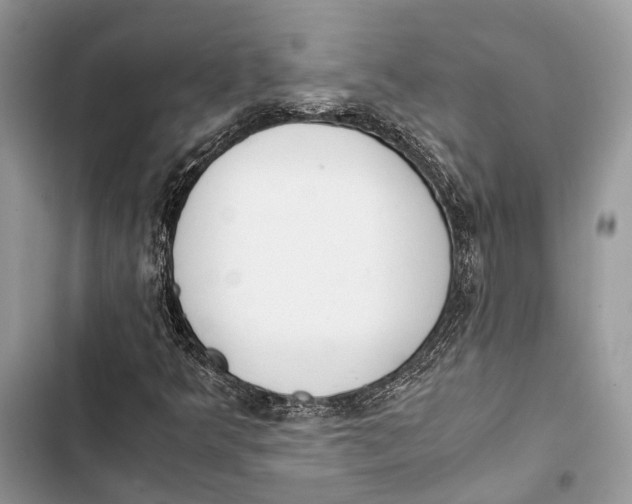 X0000103481349200810031533