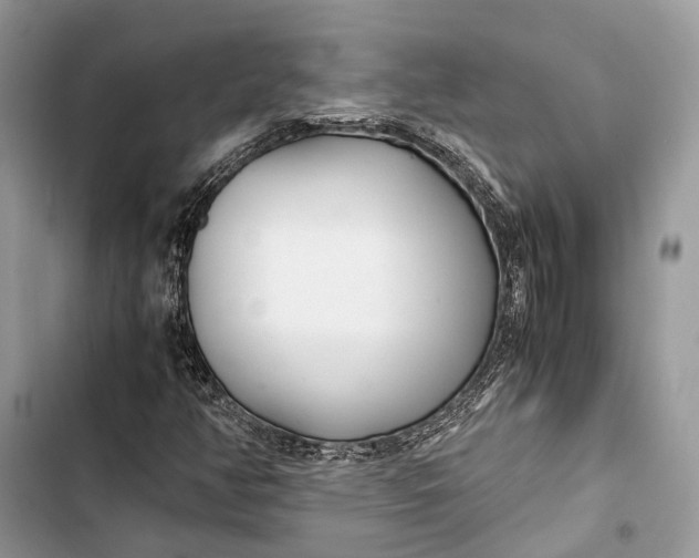 X0000103481350200810031533