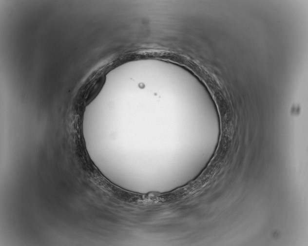 X0000103481351200810031533