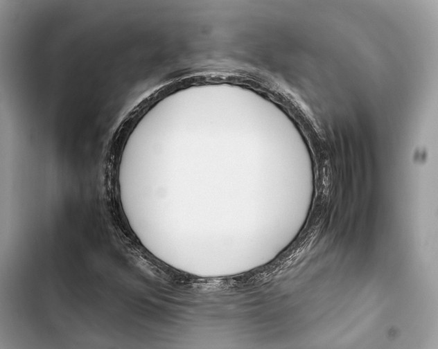 X0000103481352200810031533