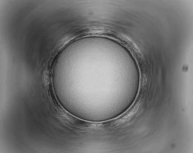 X0000103481353200810031533