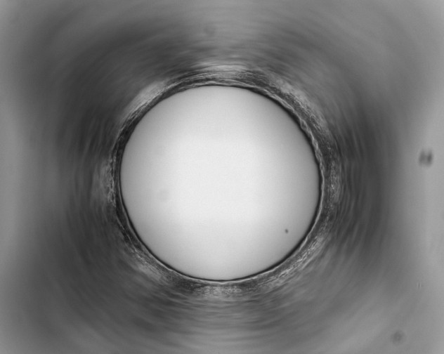 X0000103481354200810031533