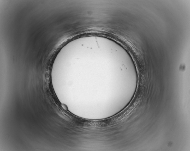 X0000103481355200810031533