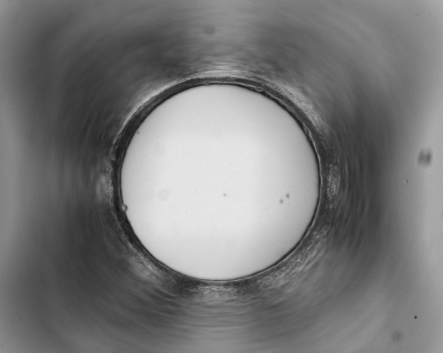 X0000103481356200810031533