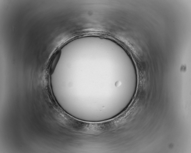 X0000103481357200810031533