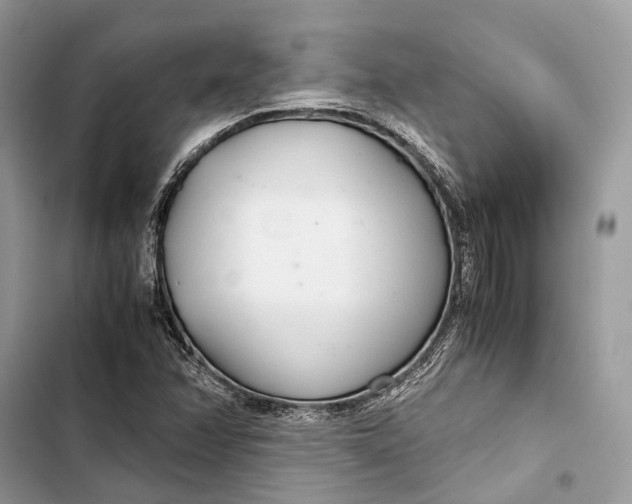 X0000103481358200810031533