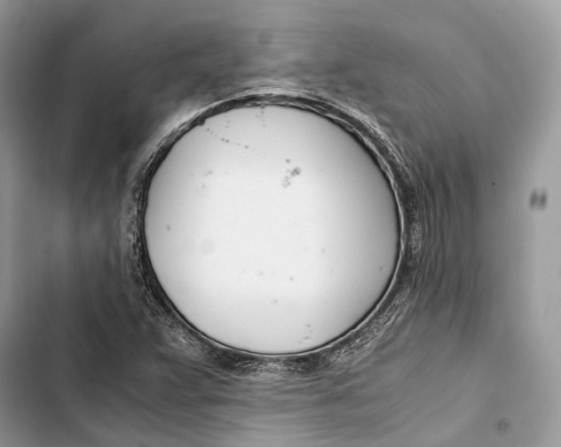 X0000103481359200810031533