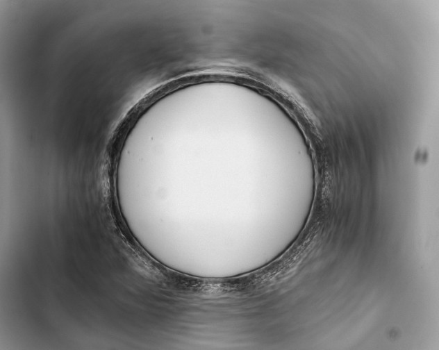 X0000103481360200810031533