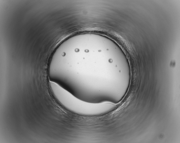 X0000103481361200810031533