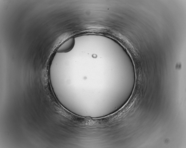 X0000103481362200810031533