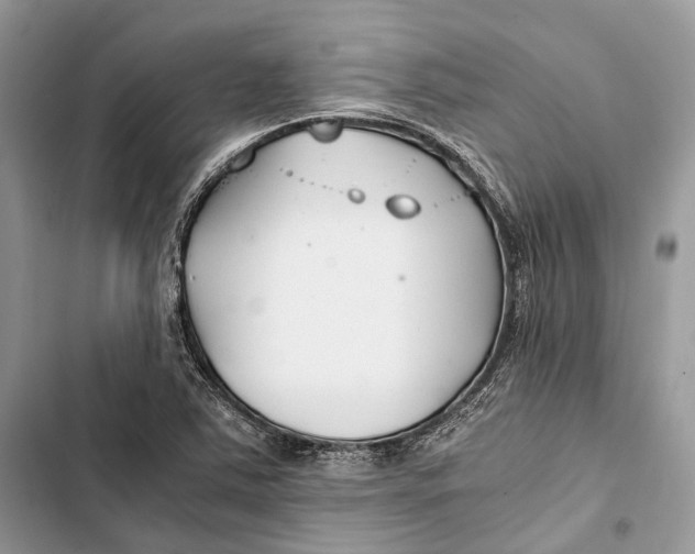 X0000103481363200810031533