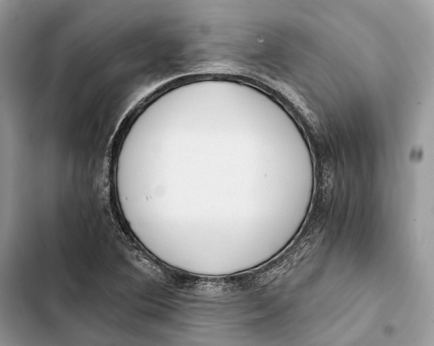 X0000103481364200810031533