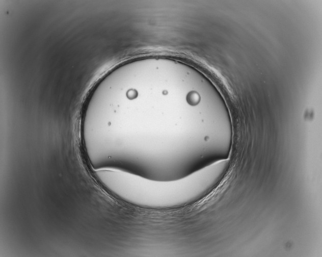 X0000103481365200810031533