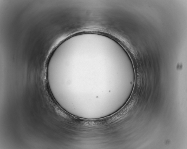 X0000103481366200810031533