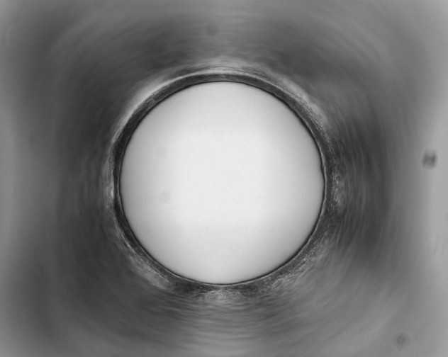 X0000103481368200810031533