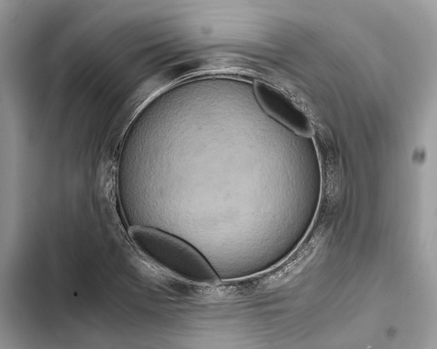 X0000103481369200810031533